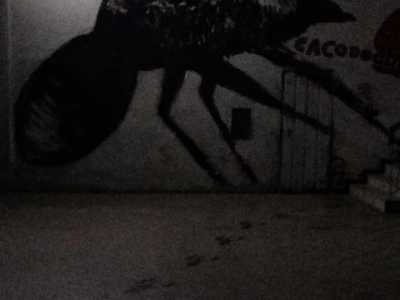 Ex Socrate occupato